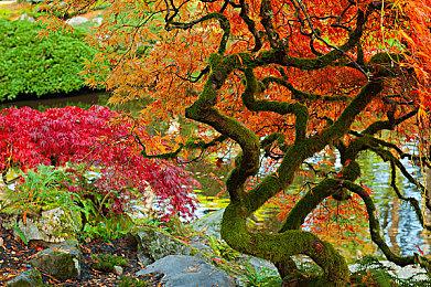 弹幕射击游戏《反击》登陆NS平台 上市宣传片赏