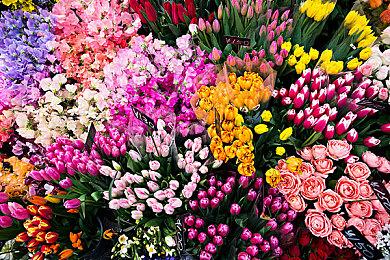 《死或生：女神璀璨假期》预购特典 性感旗袍高开衩